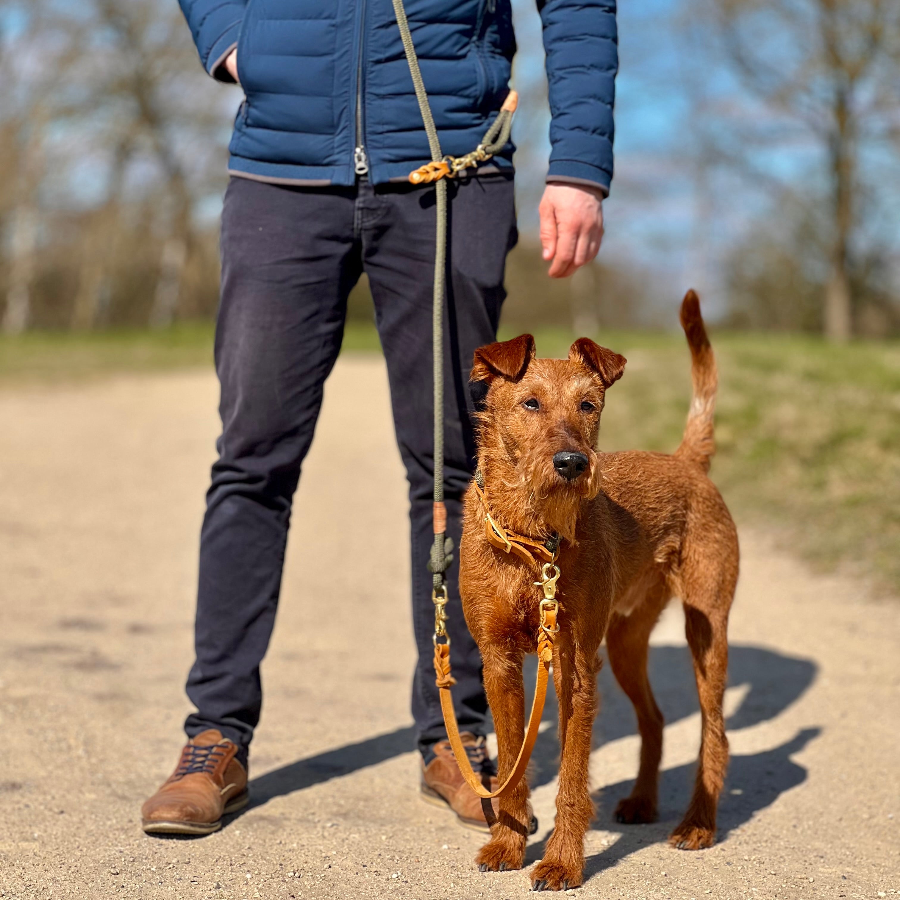 SET - Tauleine und Halsband "Waldgold" - waldgrün & cognac