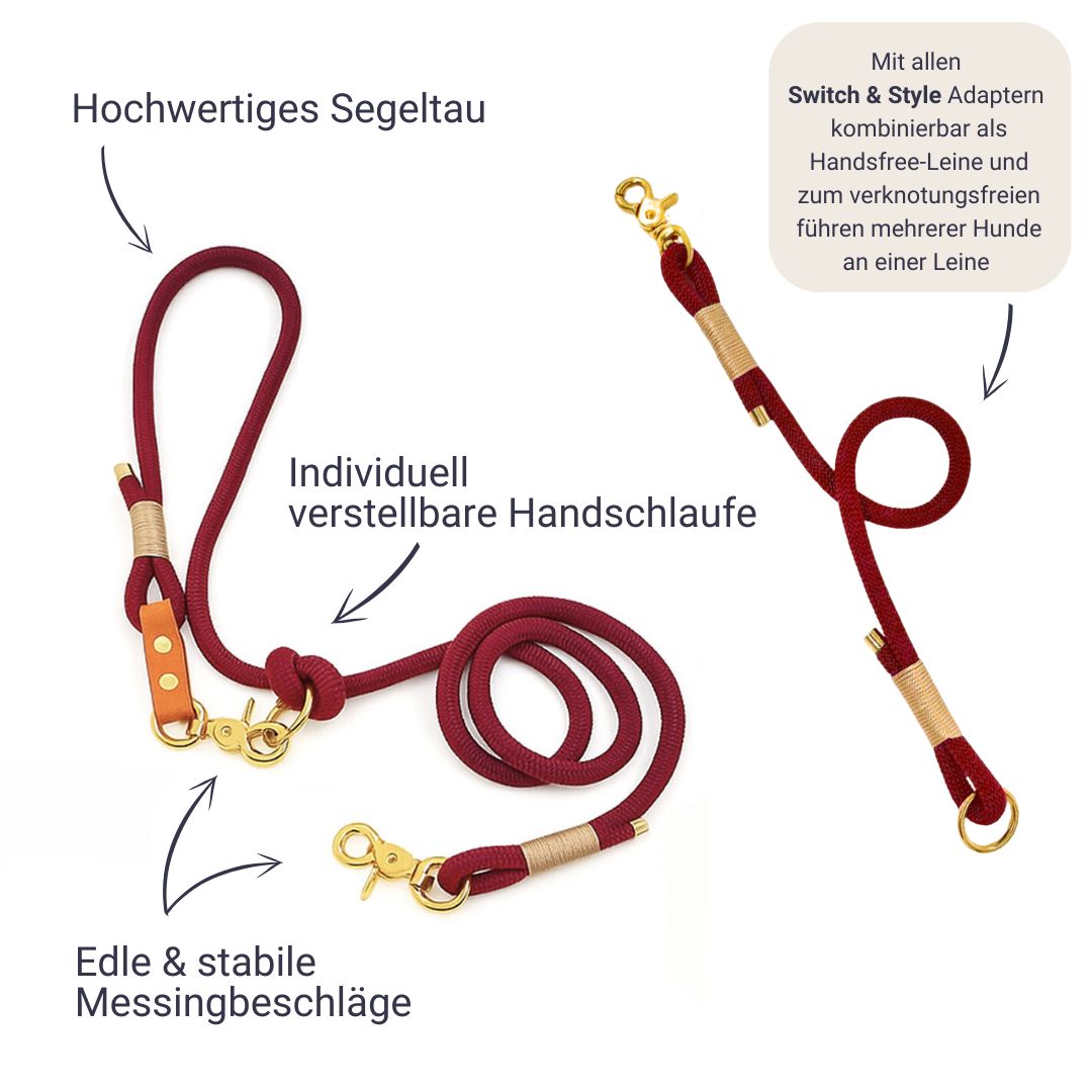 SET - Tauleine und Halsband "Nordlicht" | Bordeaux-Creme