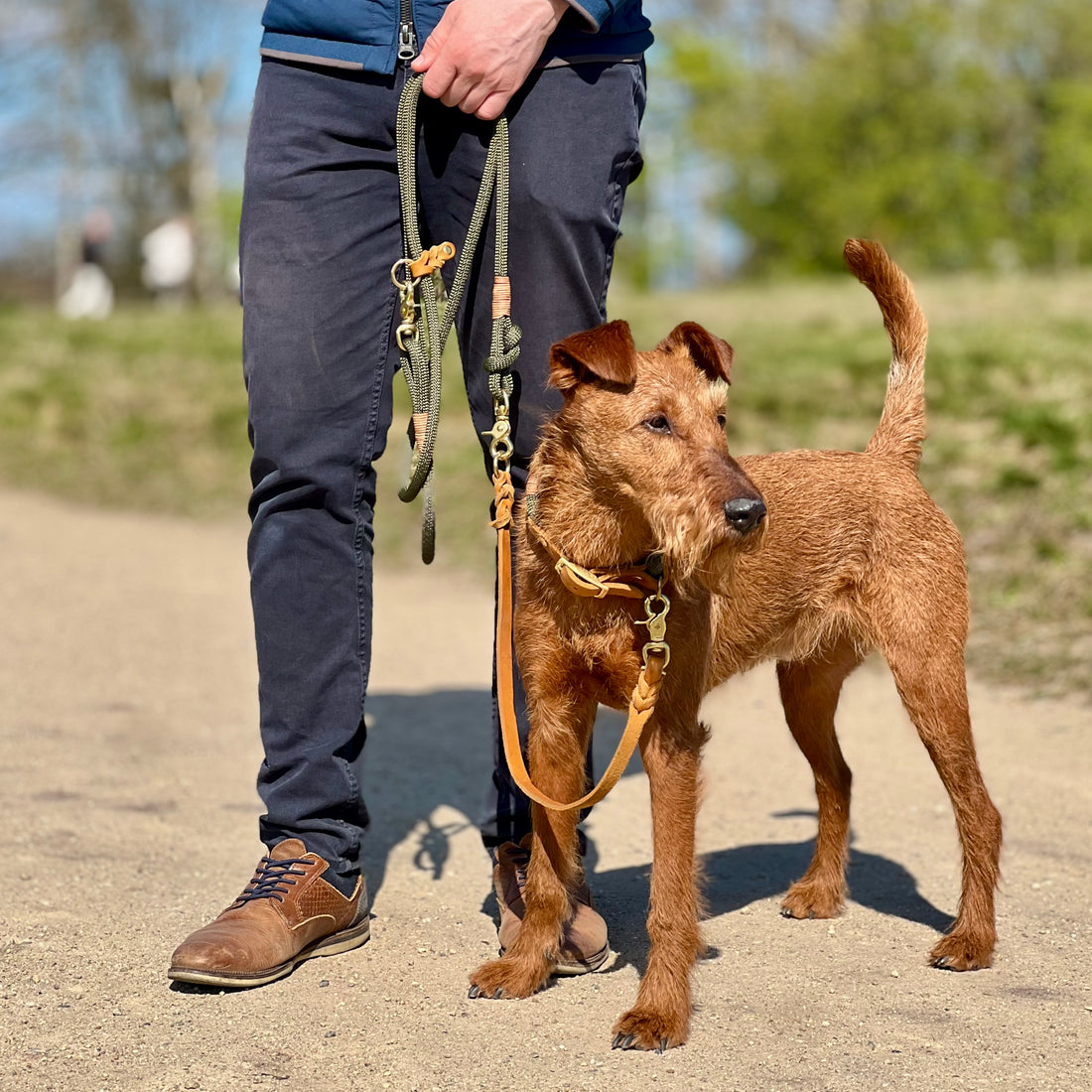 SET - Tauleine und Halsband "Waldgold" - waldgrün & cognac