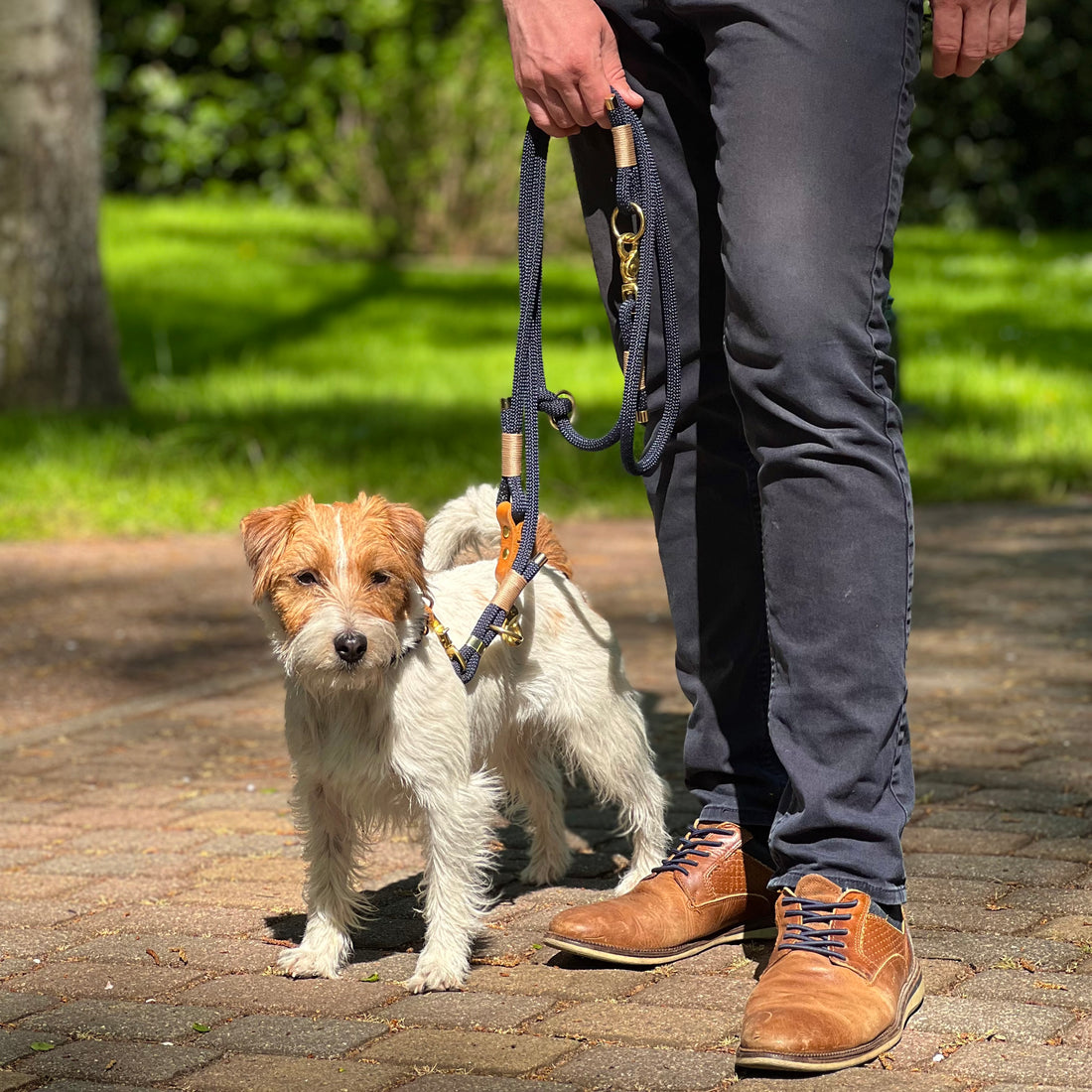 SET - Tauleine und Halsband "Nordlicht" | Dunkelblau-Creme