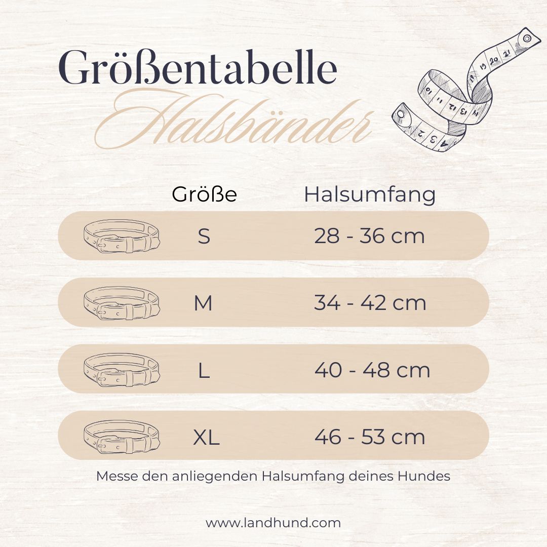 SET - Tauleine und Halsband "Nordlicht" | Dunkelblau-Creme