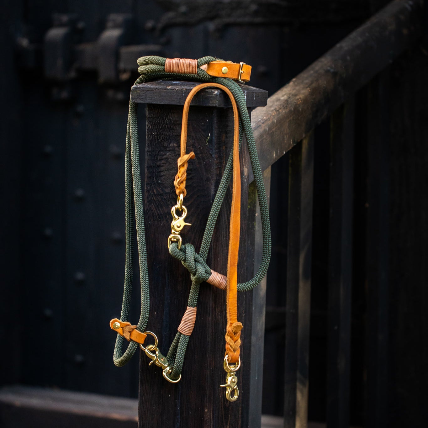 SET - Tauleine und Halsband "Waldgold" - waldgrün & cognac