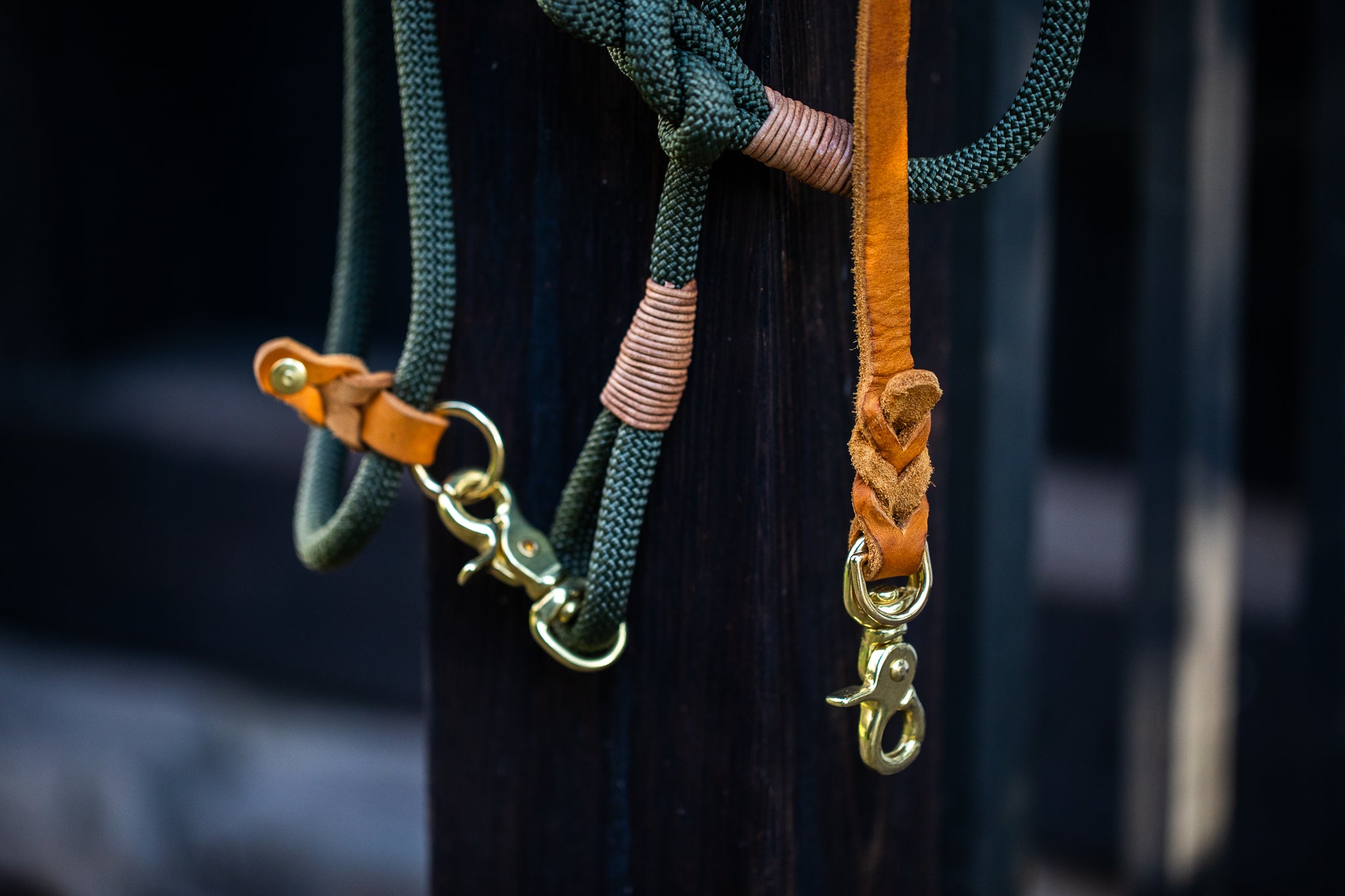 SET - Tauleine und Halsband "Waldgold" - waldgrün & cognac