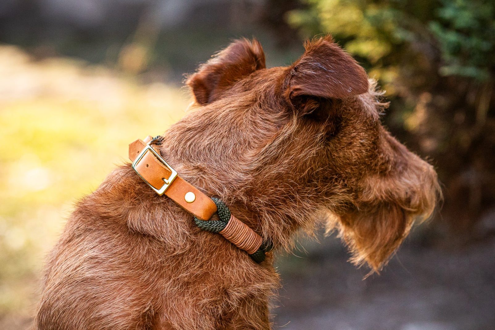 Tau-Halsband "Waldgold" - Waldgrün & Cognac Leder