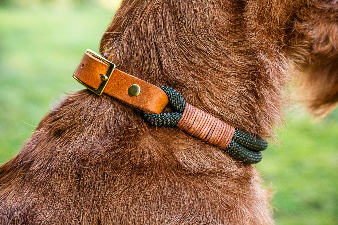 Tau-Halsband "Waldgold" - Waldgrün & Cognac Leder