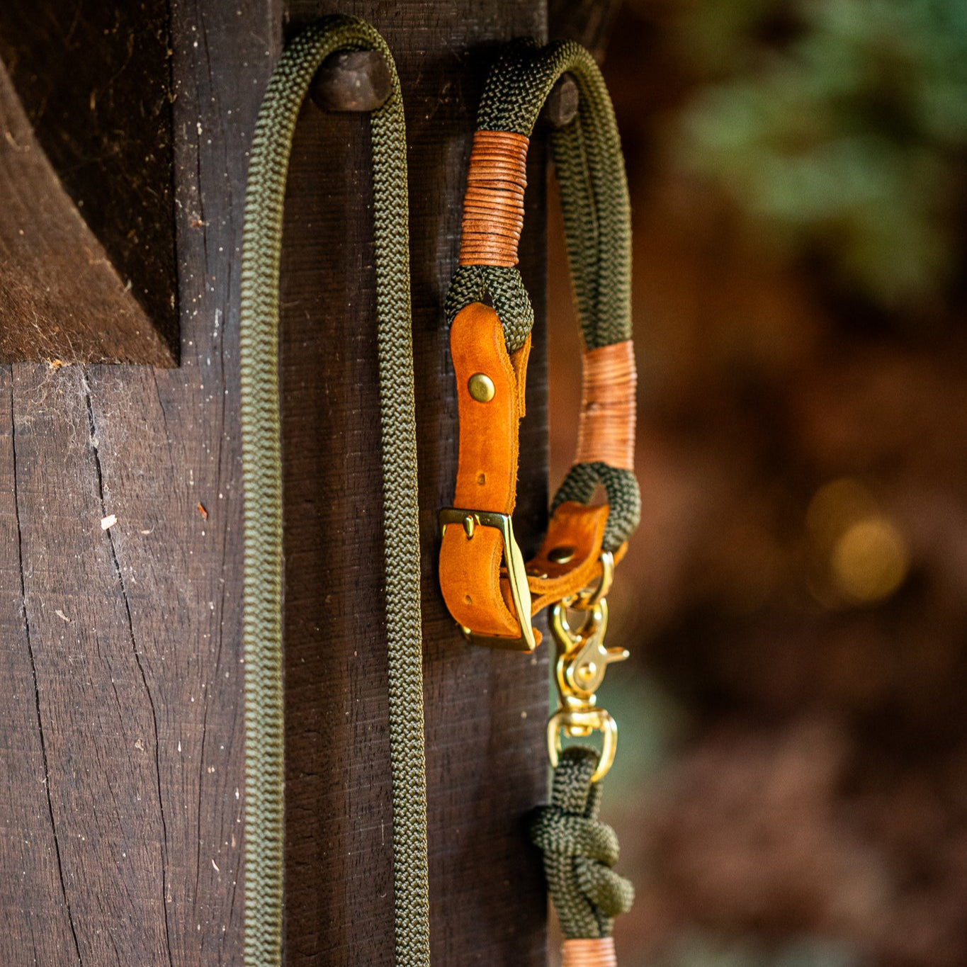 SET - Tauleine und Halsband "Waldgold" - waldgrün & cognac