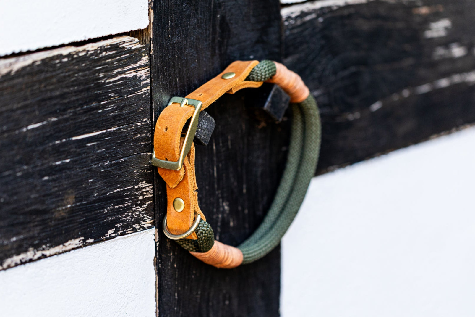 SET - Tauleine und Halsband "Waldgold" - waldgrün & cognac