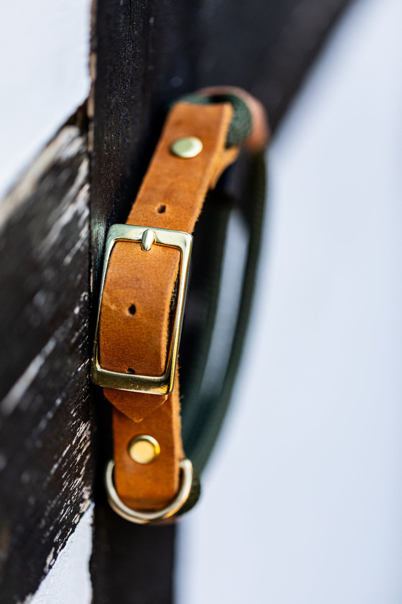 Tau-Halsband "Waldgold" - Waldgrün & Cognac Leder