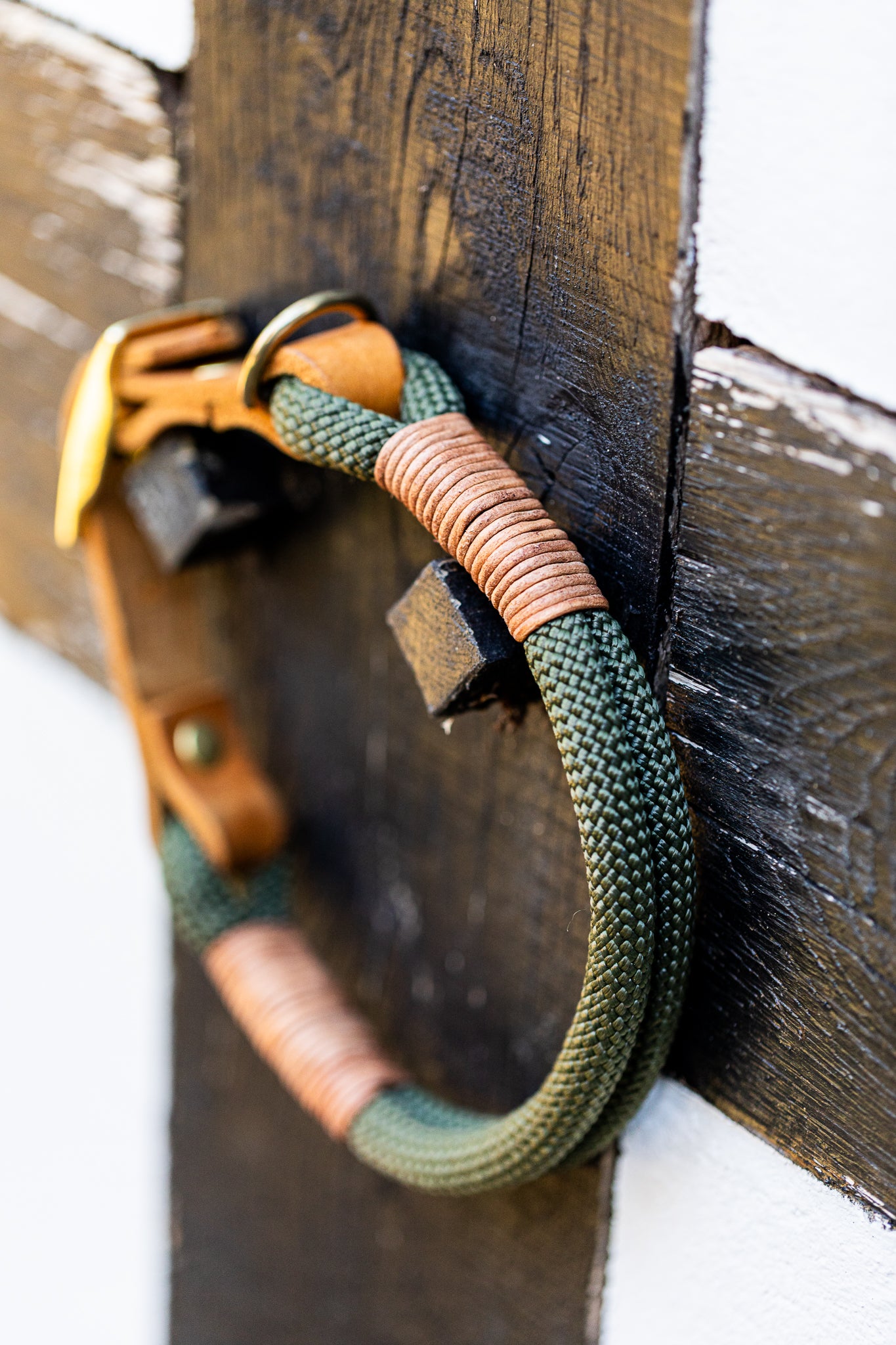 SET - Tauleine und Halsband "Waldgold" - waldgrün & cognac