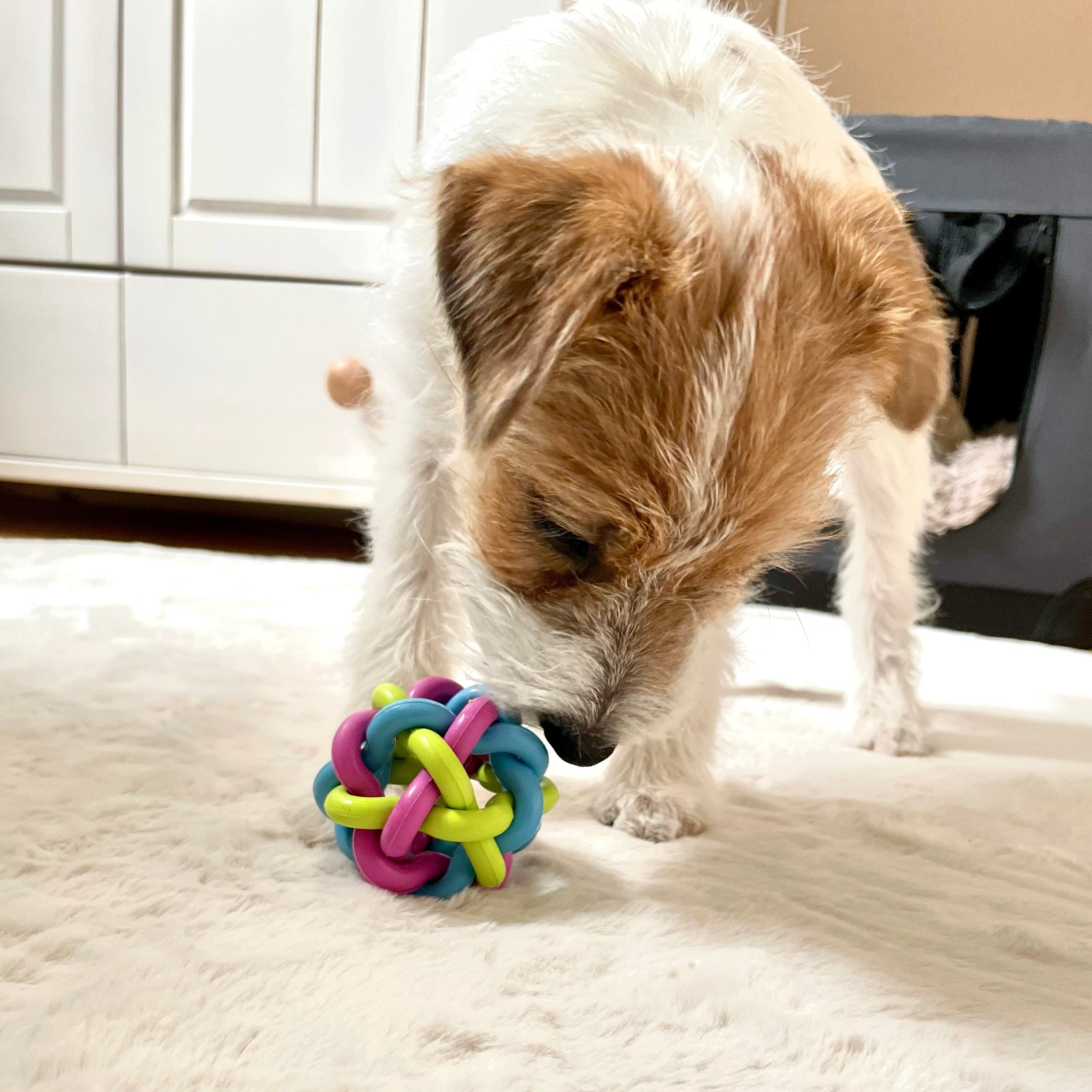 Hunde-Ball aus Gummi - Welpenspielzeug