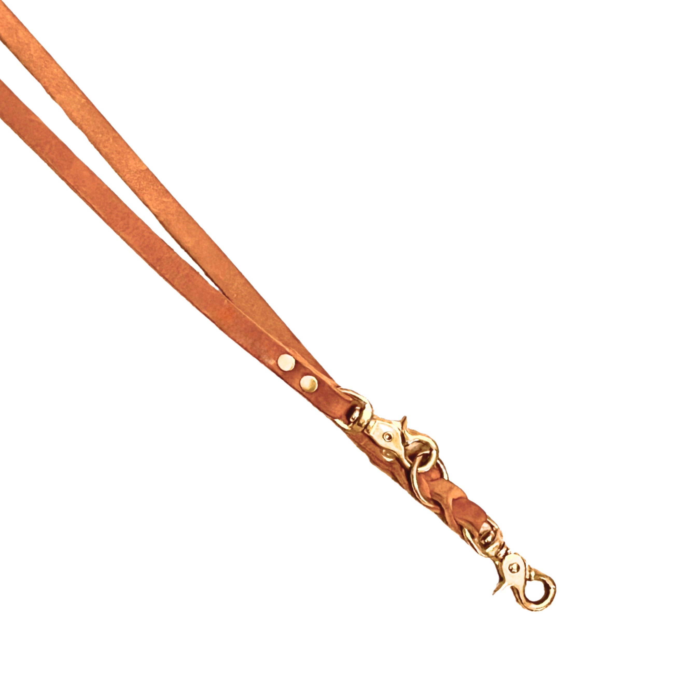 Leder Koppelleine - verschiedene Farben - Switch & Style