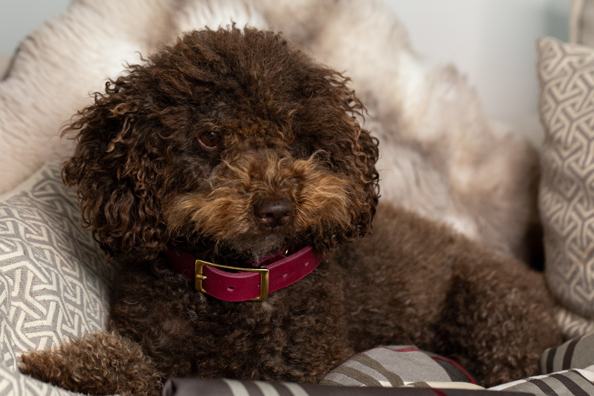 Partnerlook Set - Tova - Bordeaux Leder STRASS - Halsband und Armband