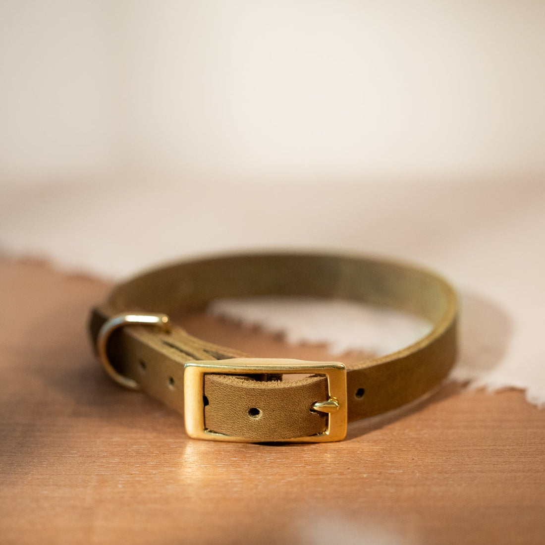 Hundehalsband Oliv Grün Lederhalsband