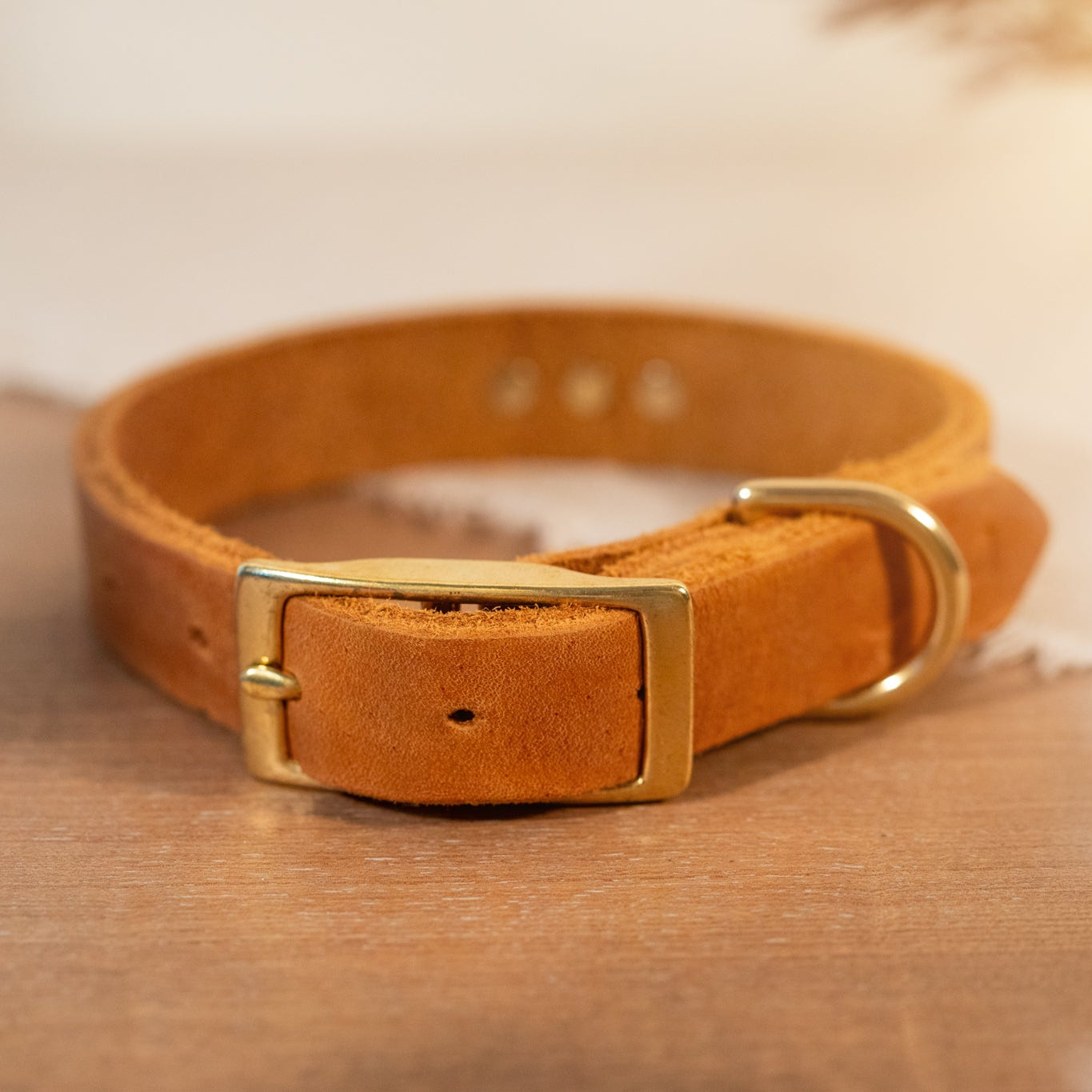 Partnerlook Set - „Weitblick“ - Halsband und Armband - Cognac Leder mit Strassnieten