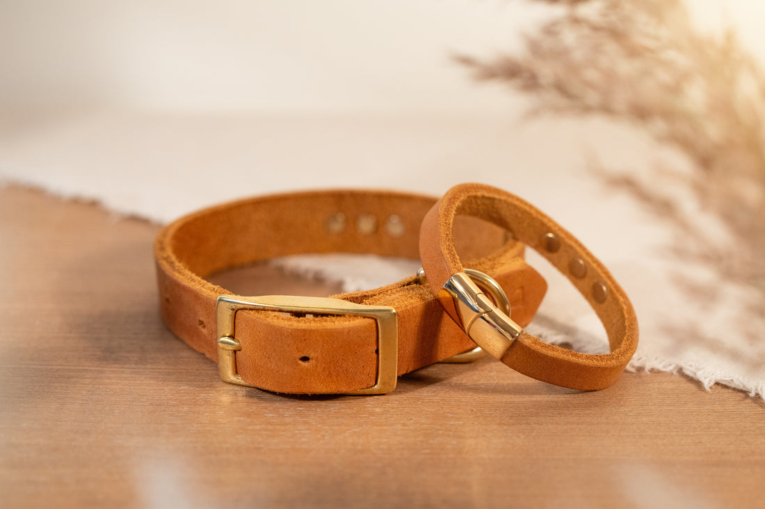Partnerlook Set - „Weitblick“ - Halsband und Armband - Cognac Leder mit Strassnieten