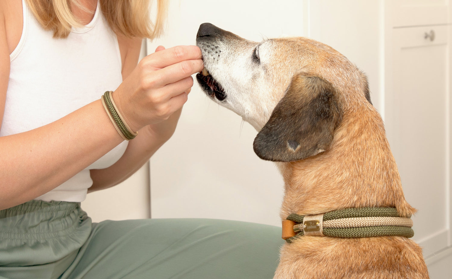 Partnerlook - Seelenband „Nordlicht“ - Halsband und Armband - Oliv-Creme