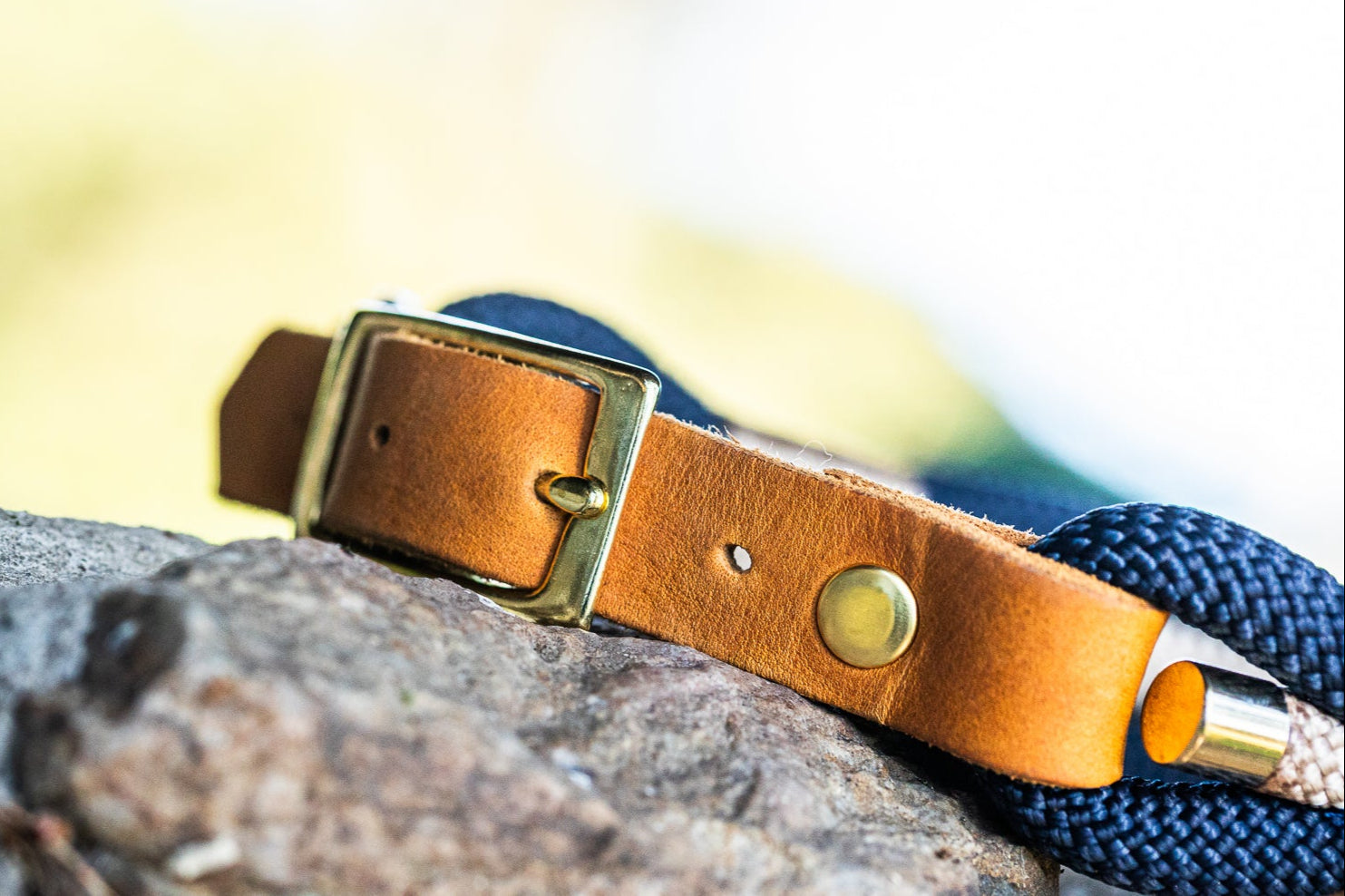 SET - Tauleine und Halsband "Nordlicht" | Dunkelblau-Creme
