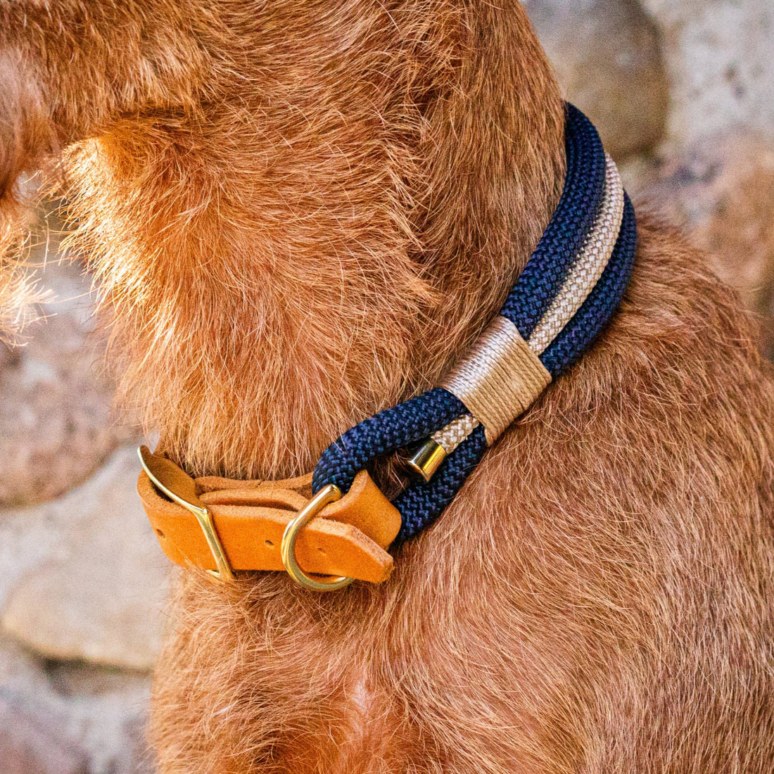 Tauhalsband blau Creme Cognac Leder