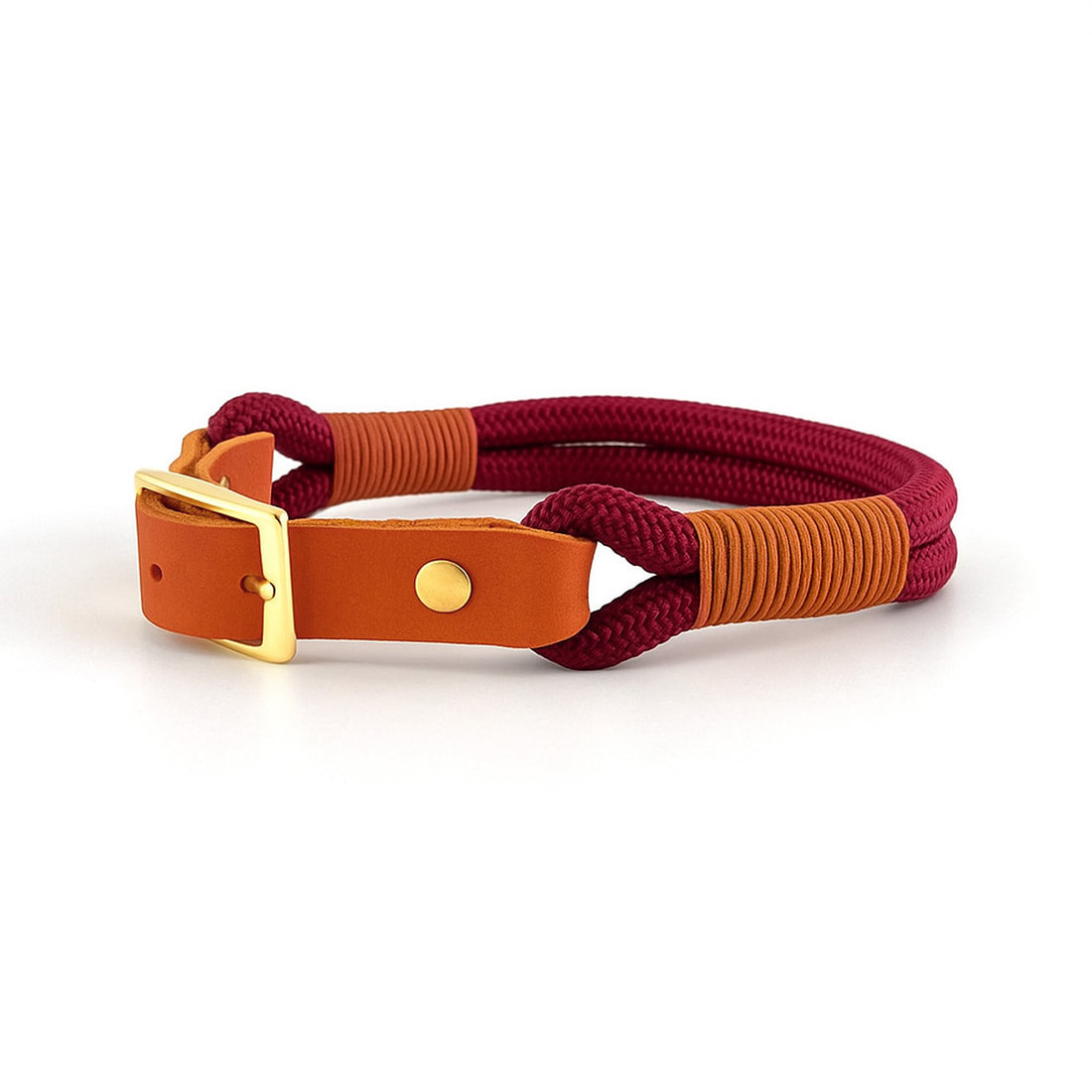 SET - Tauleine und Halsband "Waldgold" | bordeaux & cognac