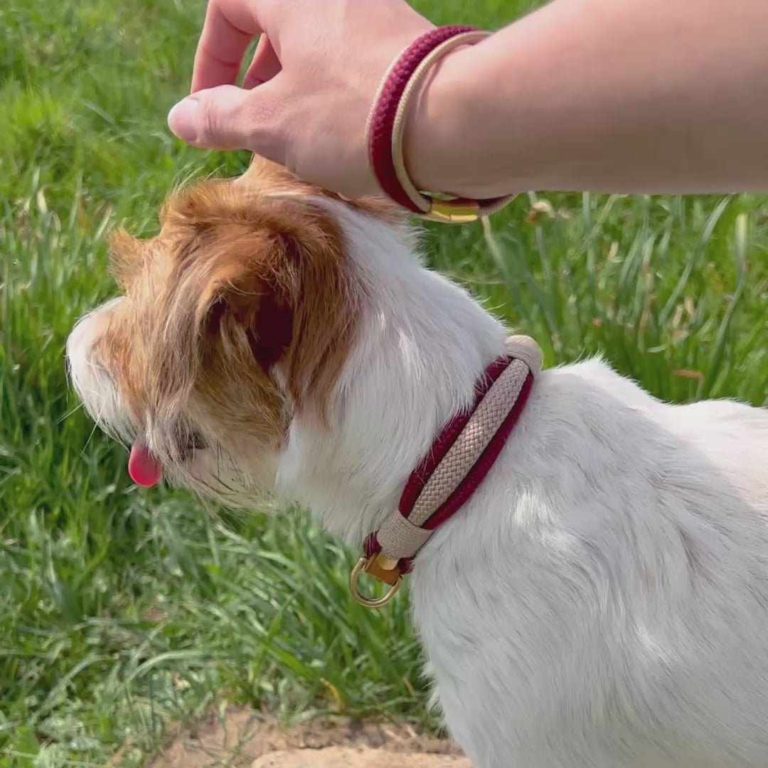 PArtnerlook Hunde Halsband und Armband