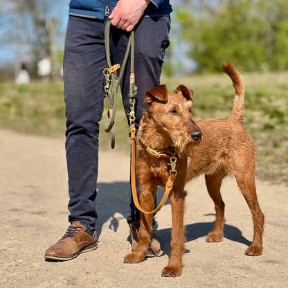 Tau-Leine &quot;Waldgold&quot; - Waldgrün-Cognac