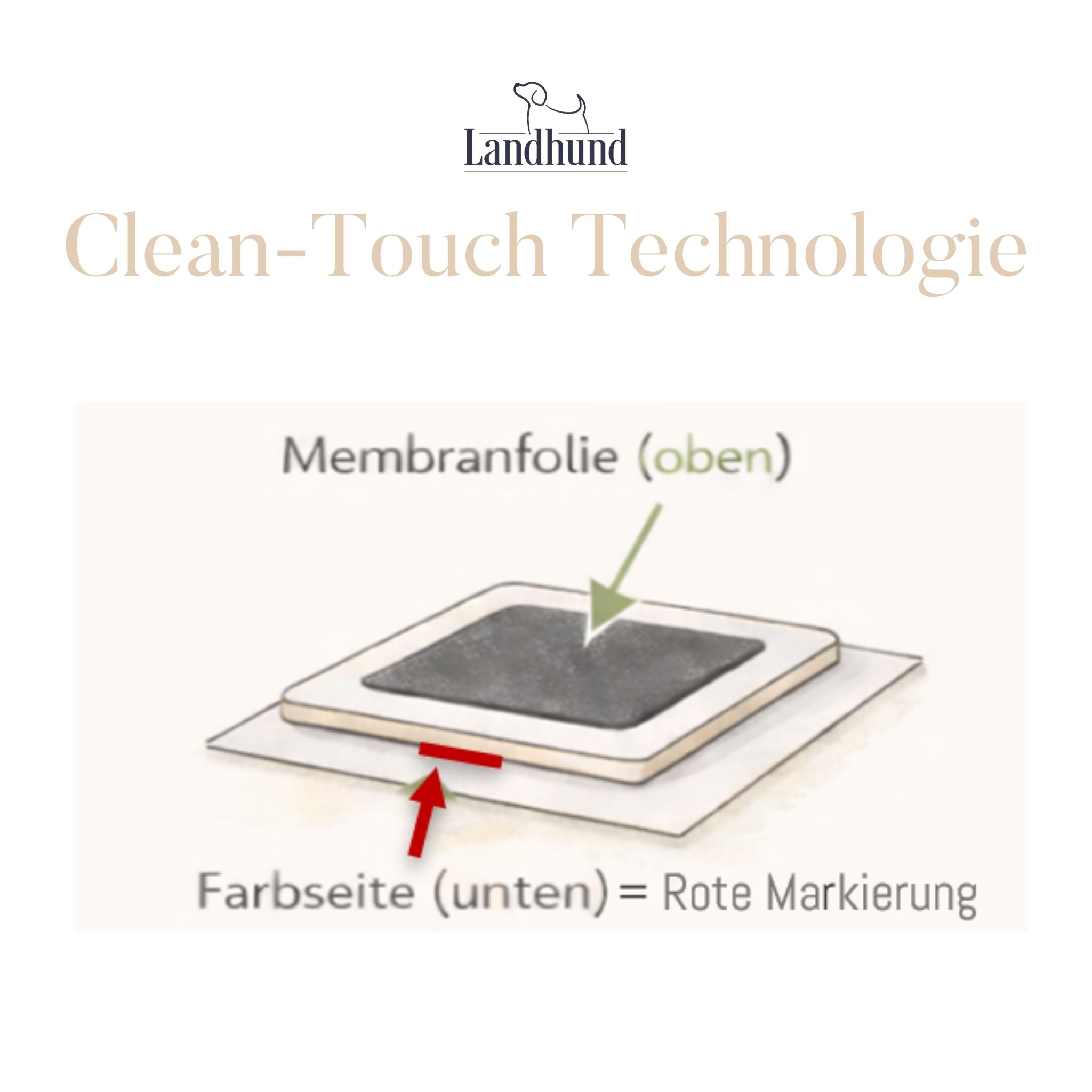 Abdruckset für Babys und Tiere mit Clean Touch Technologie