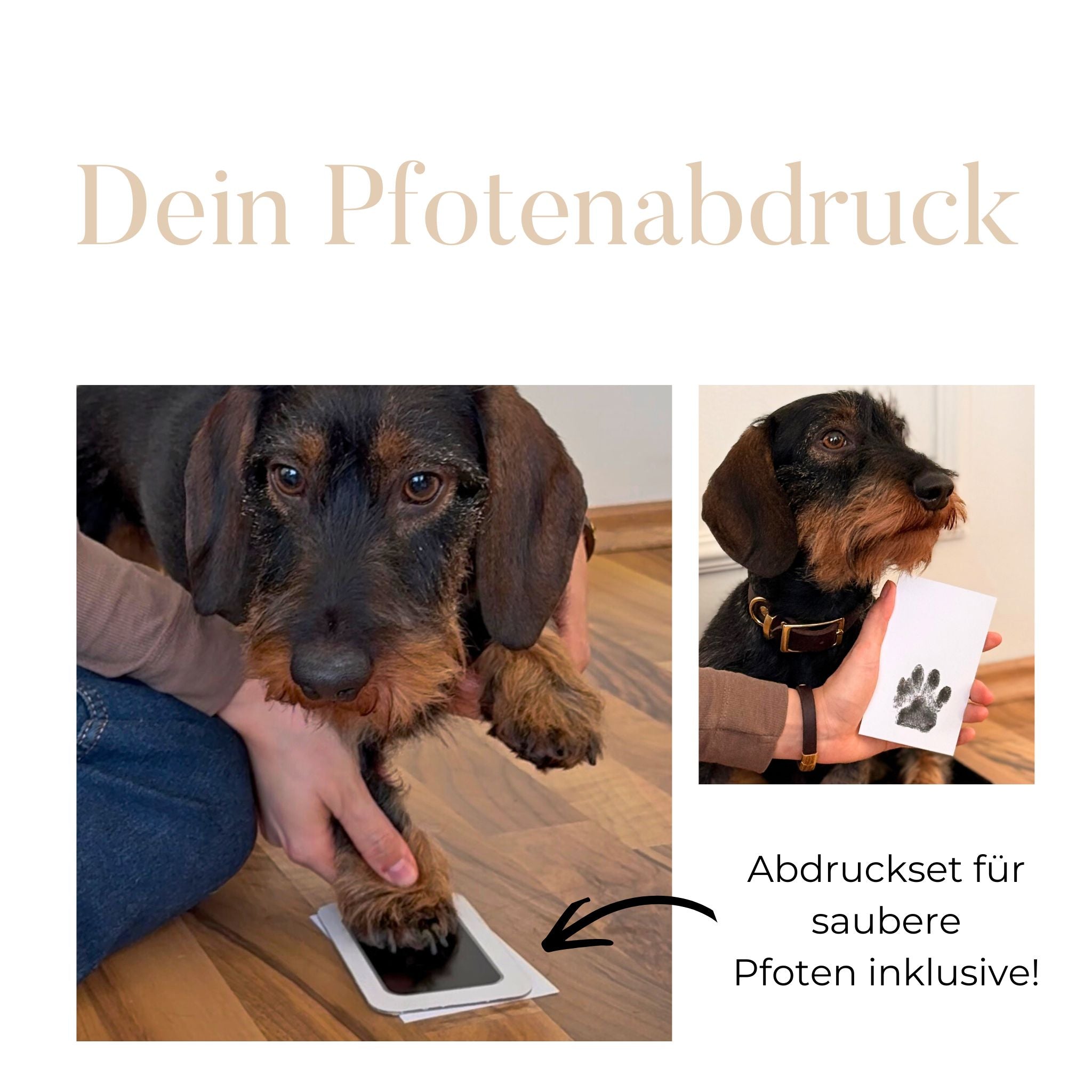 Personalisierter Pfotenabdruck in Gold - gerahmt - Größe M - 20x26cm