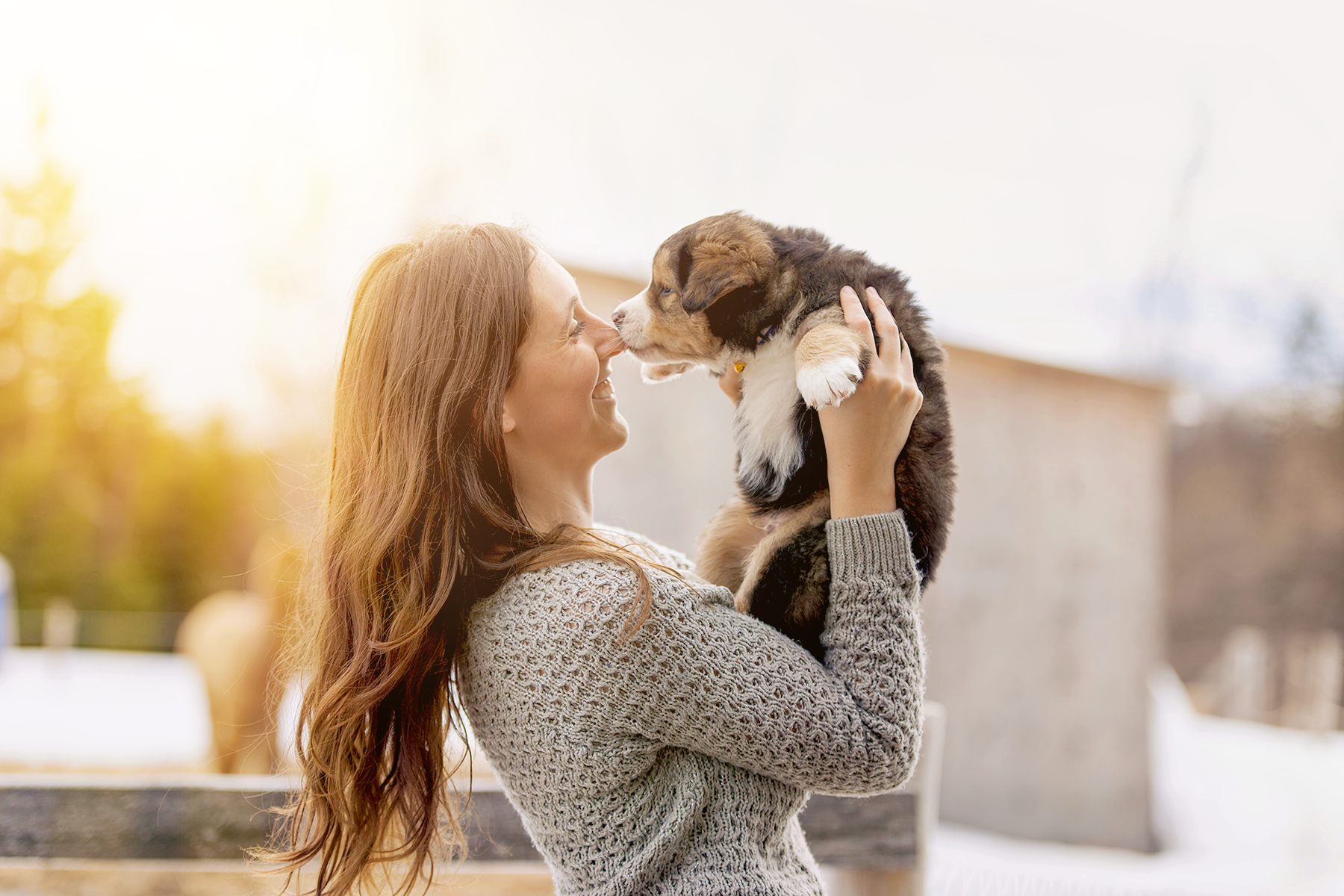 Welpenzubehör für deinen Hundewelpen