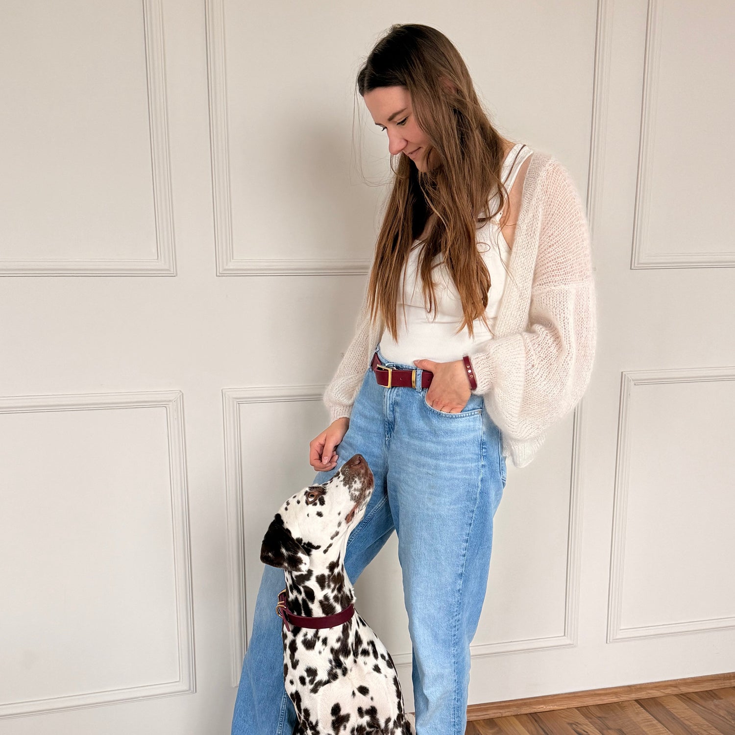 Bordeaux roter Ledergürtel, Armband und Hundehalsband