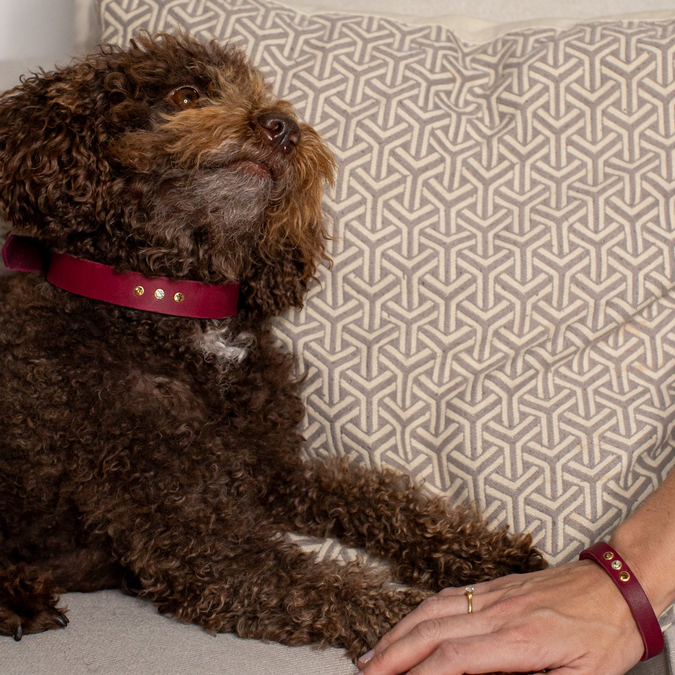 Partnerlook Set - Tova - Bordeaux Leder STRASS - Halsband und Armband