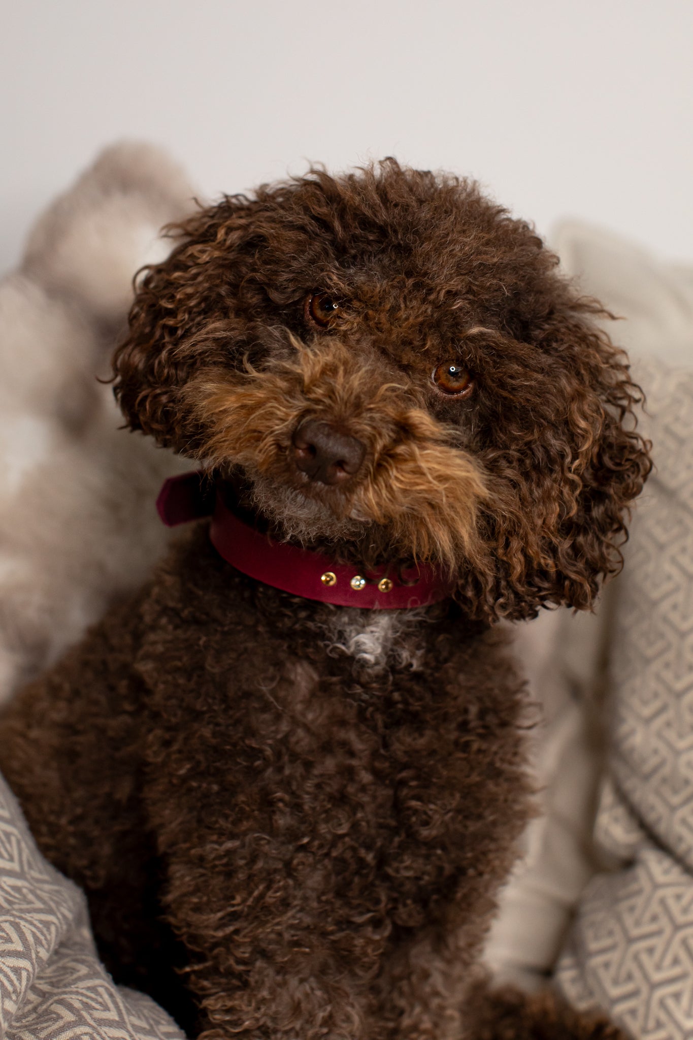 Partnerlook Set - Tova - Bordeaux Leder STRASS - Halsband und Armband