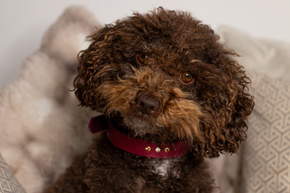 Partnerlook Set - Tova - Bordeaux Leder STRASS - Halsband und Armband