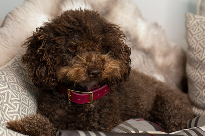 Partnerlook Set - Tova - Bordeaux Leder STRASS - Halsband und Armband