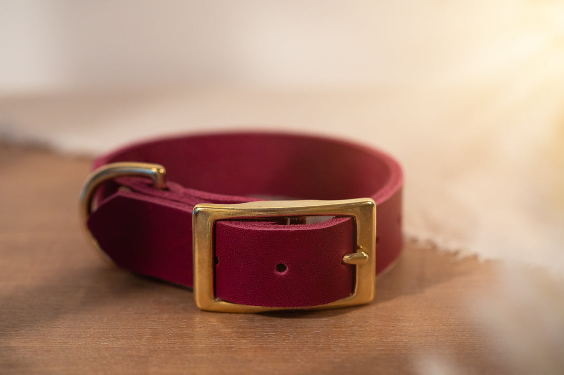 Leder Halsband Tova - Bordeaux Leder PUR