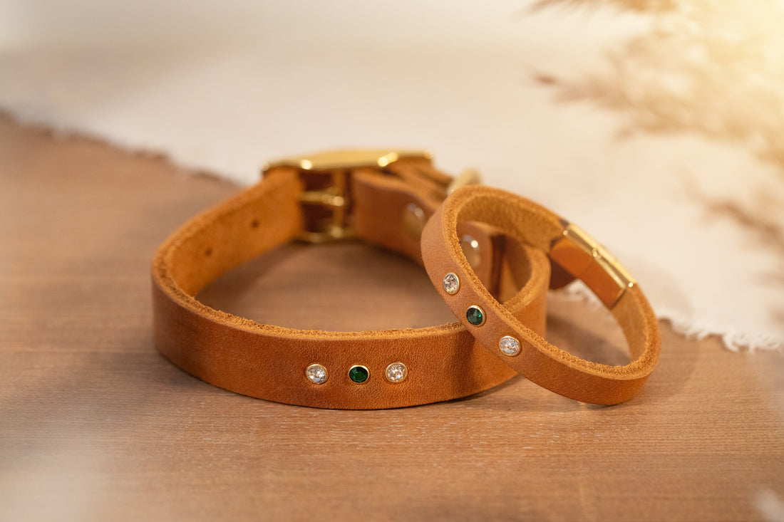 Partnerlook Set - „Weitblick“ - Halsband und Armband - Cognac Leder mit Strassnieten