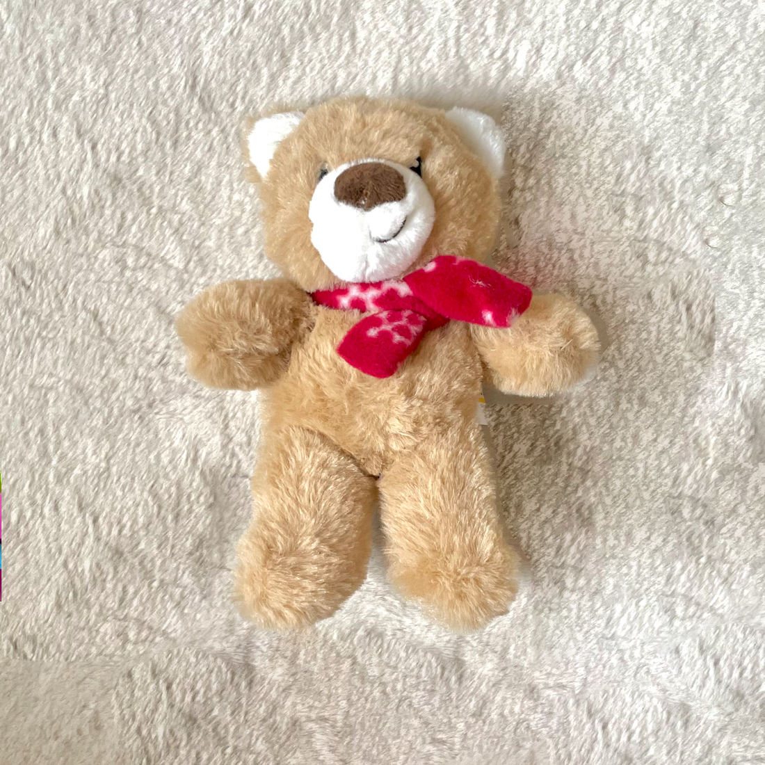 Plüsch Teddybär - Hundespielzeug